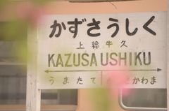 KAZUSA USHIKU