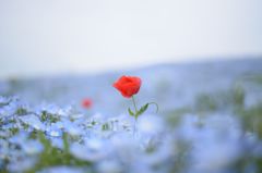 one