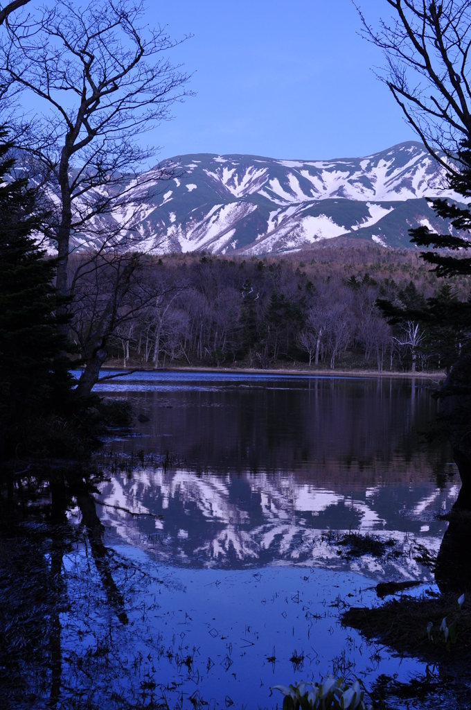 知床にて