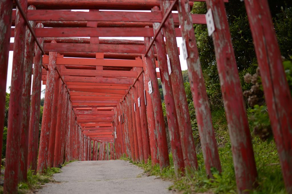 鳥居