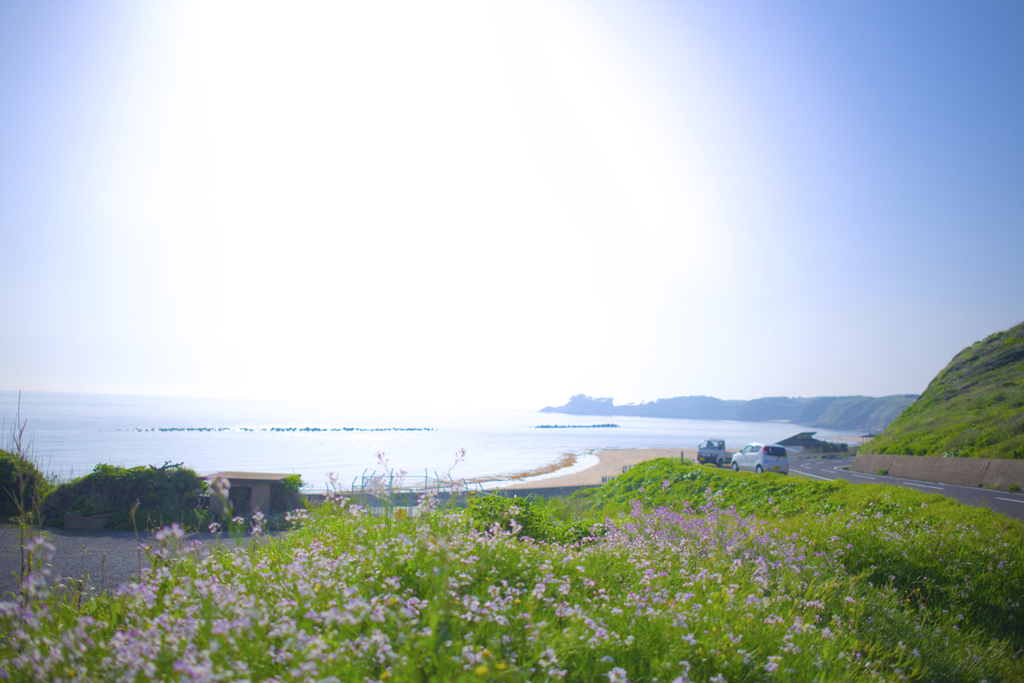 朝
