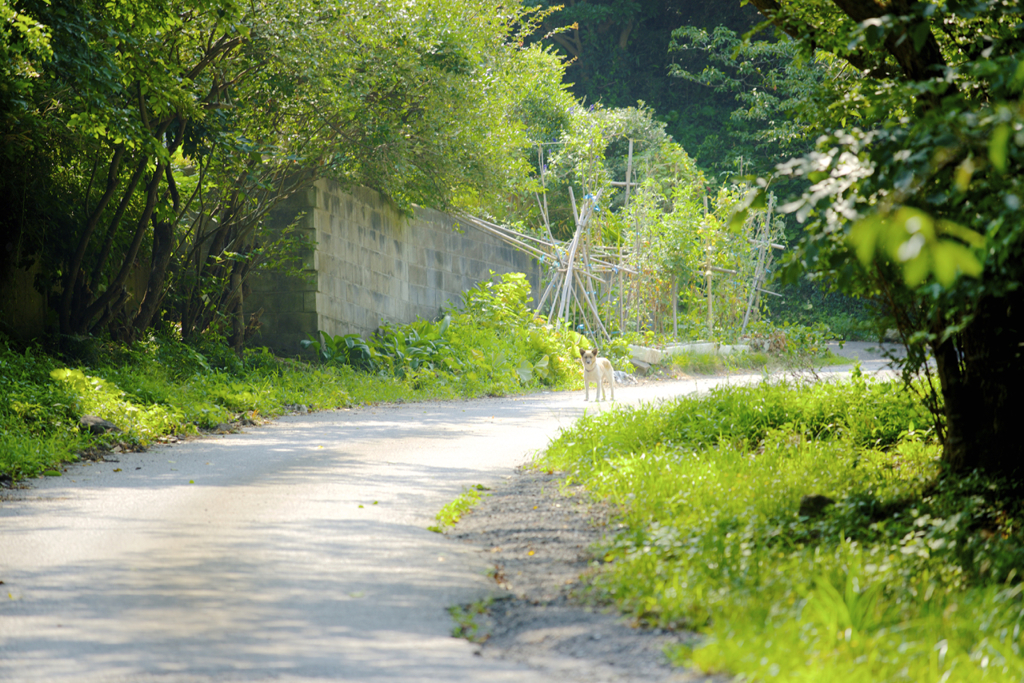 遭遇