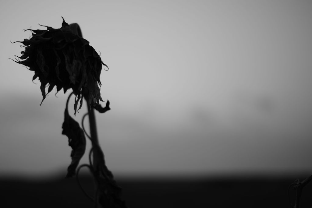 memento mori