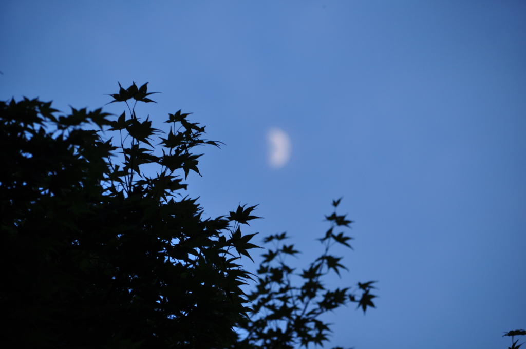 夕涼み