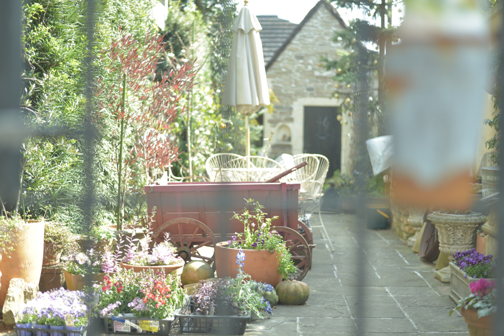 small garden