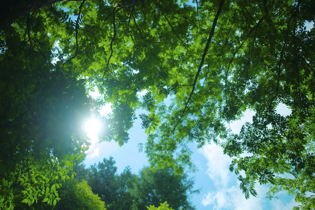 東京の夏の山の空