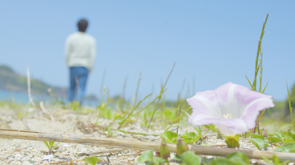 浜辺に咲く花
