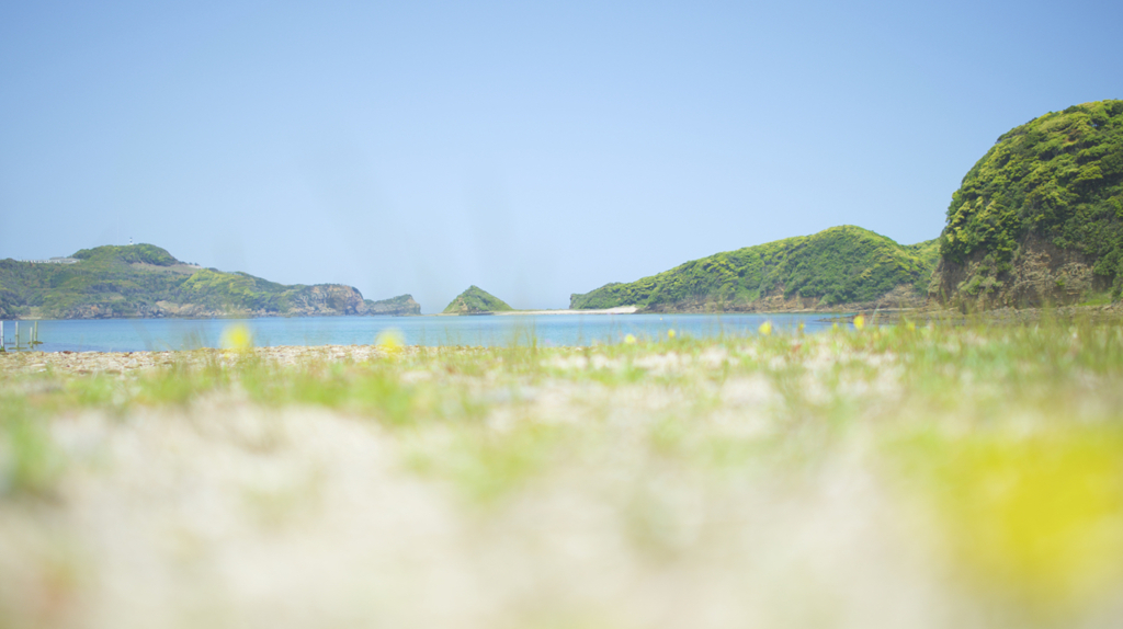 黄色の浜辺