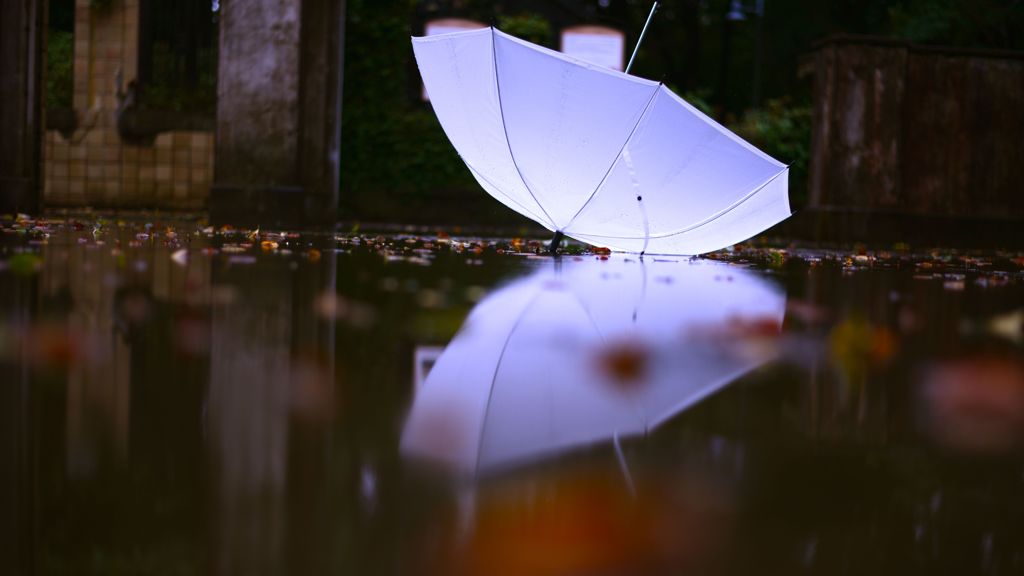 雨あがって