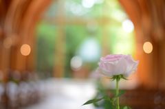 見守る花