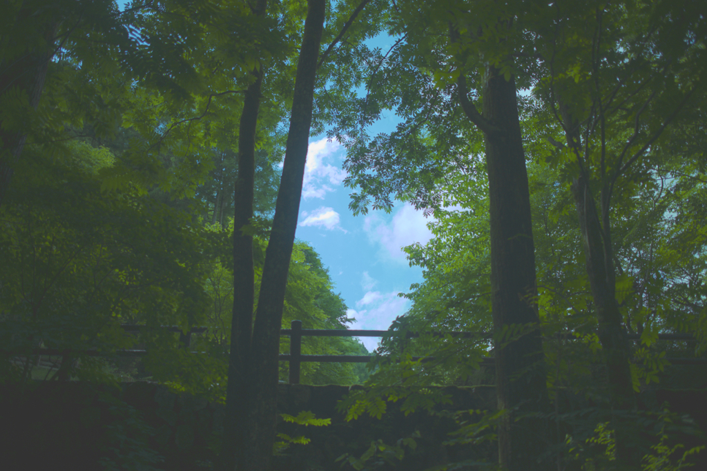隙間