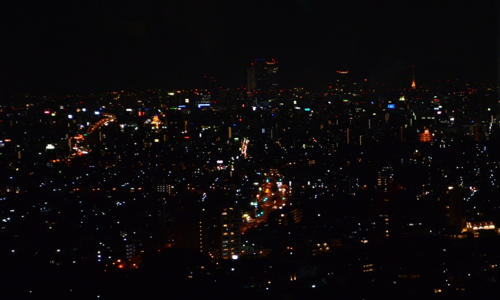 View from Higashiyama Sky Tower