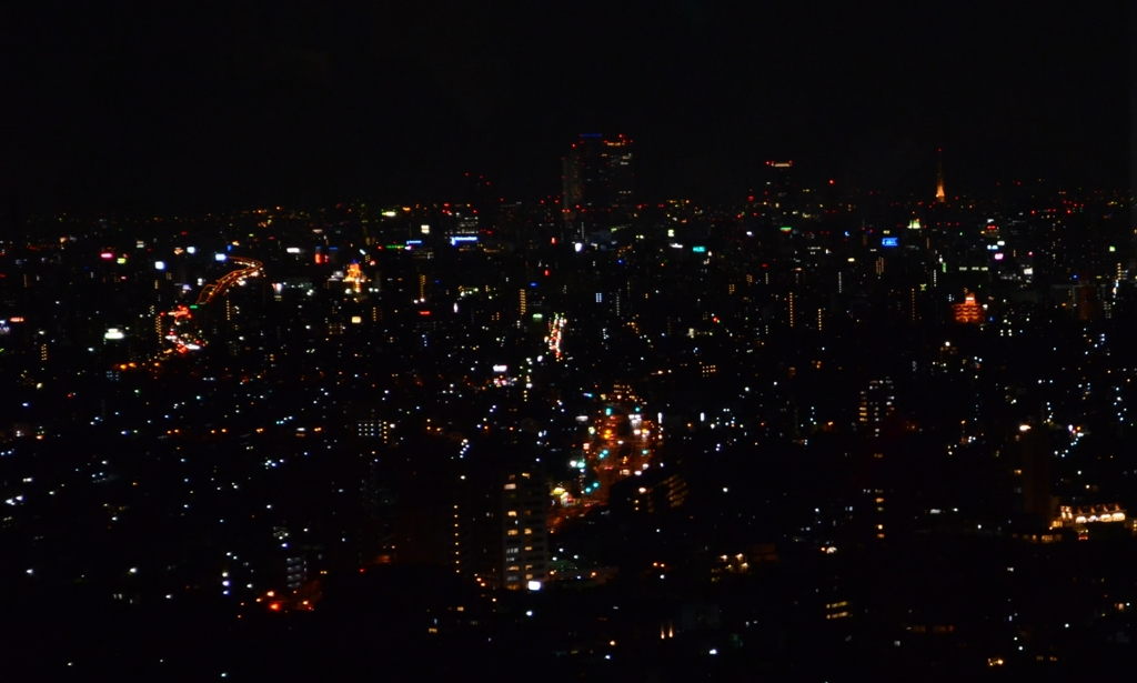 View from Higashiyama Sky Tower