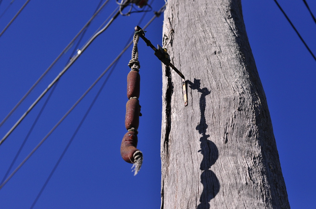 Telegraph pole