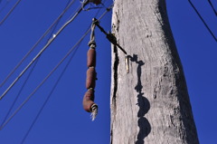 Telegraph pole
