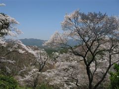 吉野風景2
