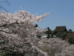 金峯山蔵王堂3