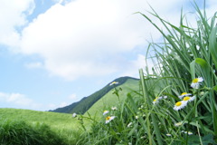 曽爾高原