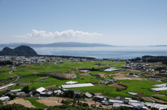 夏の棚田