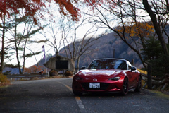 mazda ROADSTER @山奥