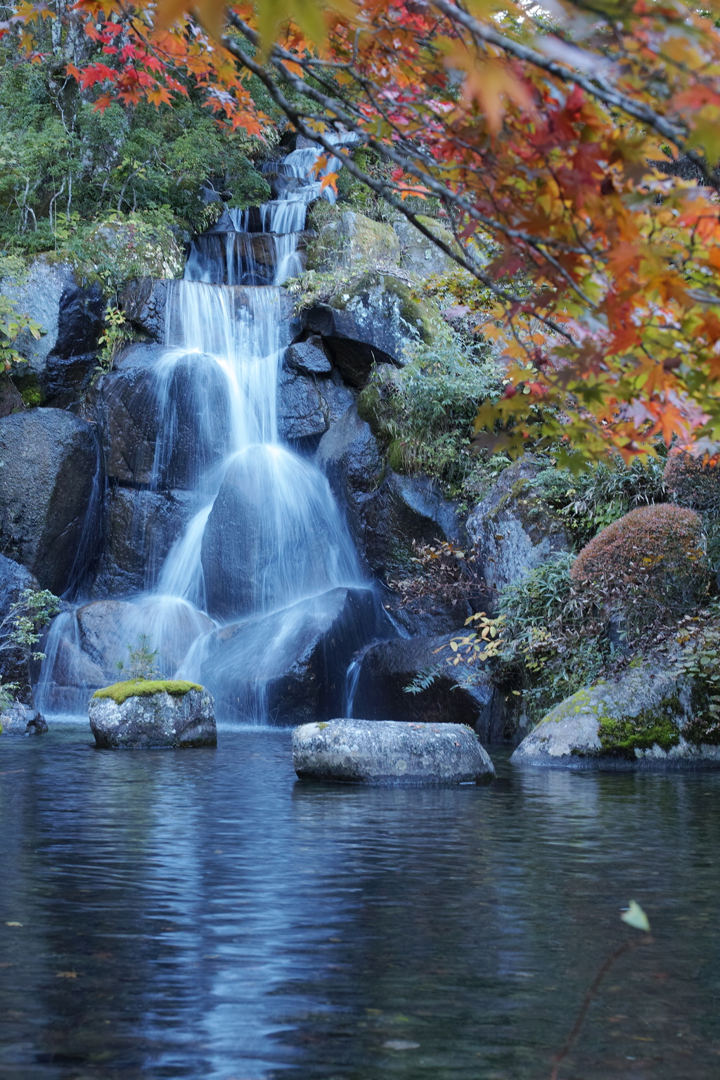 紅葉は