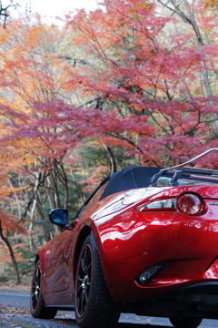 mazda ROADSTER