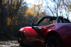 mazda ROADSTER