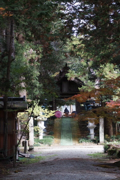 お寺散策 (光丸山法輪寺)