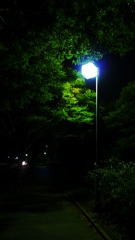 夜の街灯