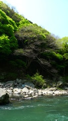 仲間はずれ