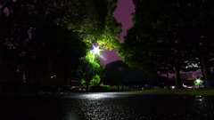 雨の日の街灯