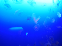 2850