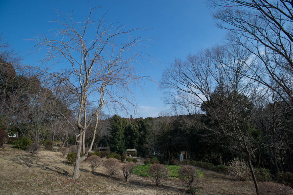 青い空
