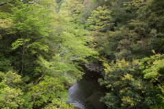 New Green