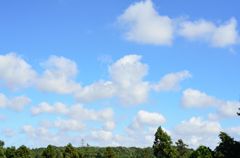 あおぞらと雲