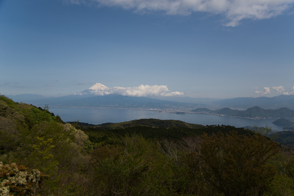 朝の富士3