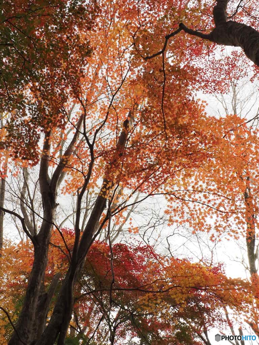 塔ノ岳にて
