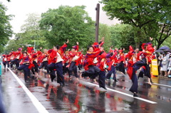 雨の中のよさこい
