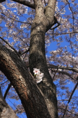 隅っこで