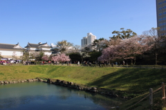 城跡と桜