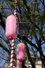 年に一度