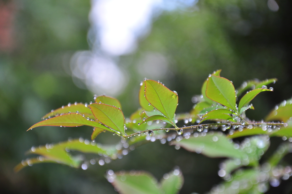 雨止んだ