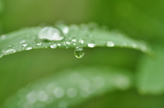 雨上がり