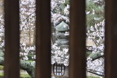 格子