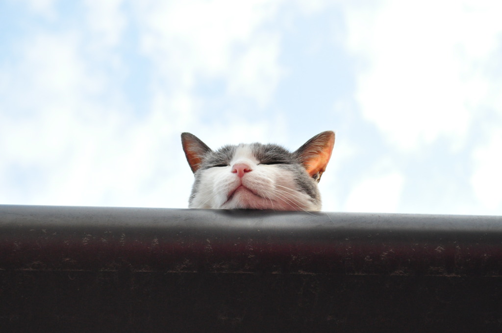ぐうたら