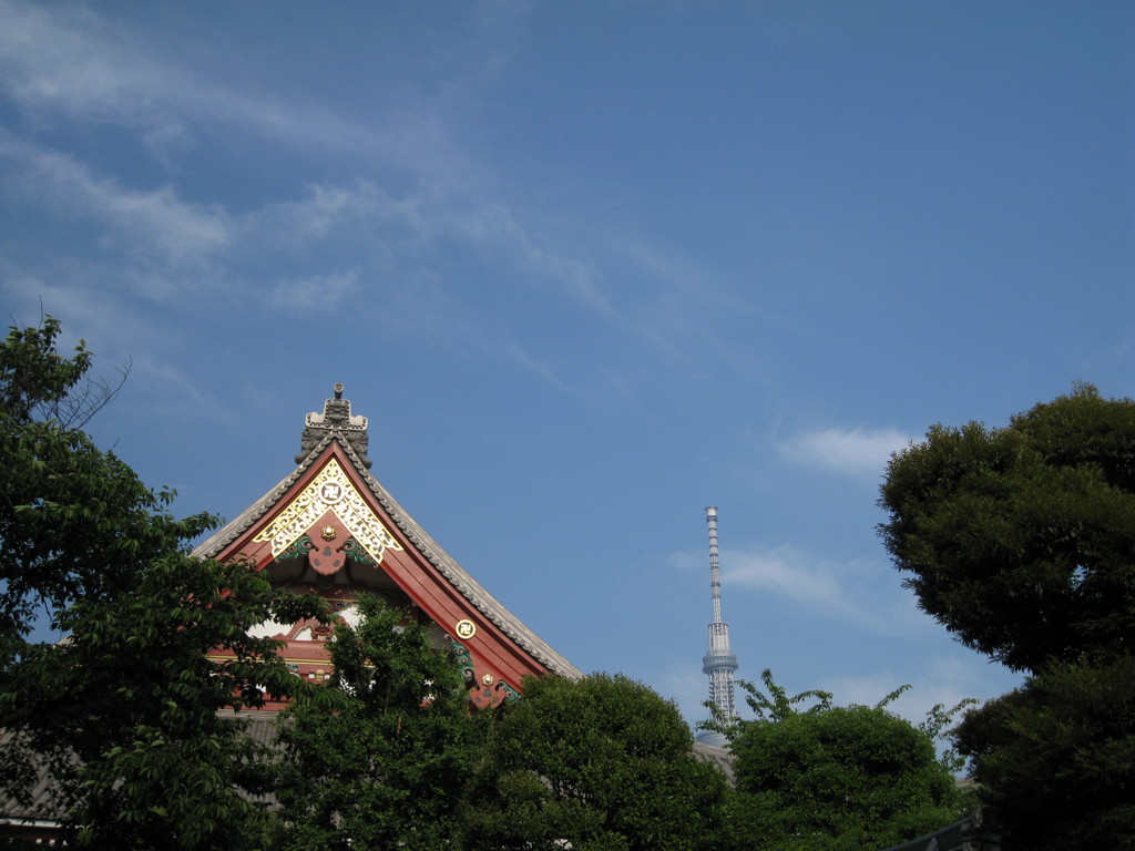 東京見物！