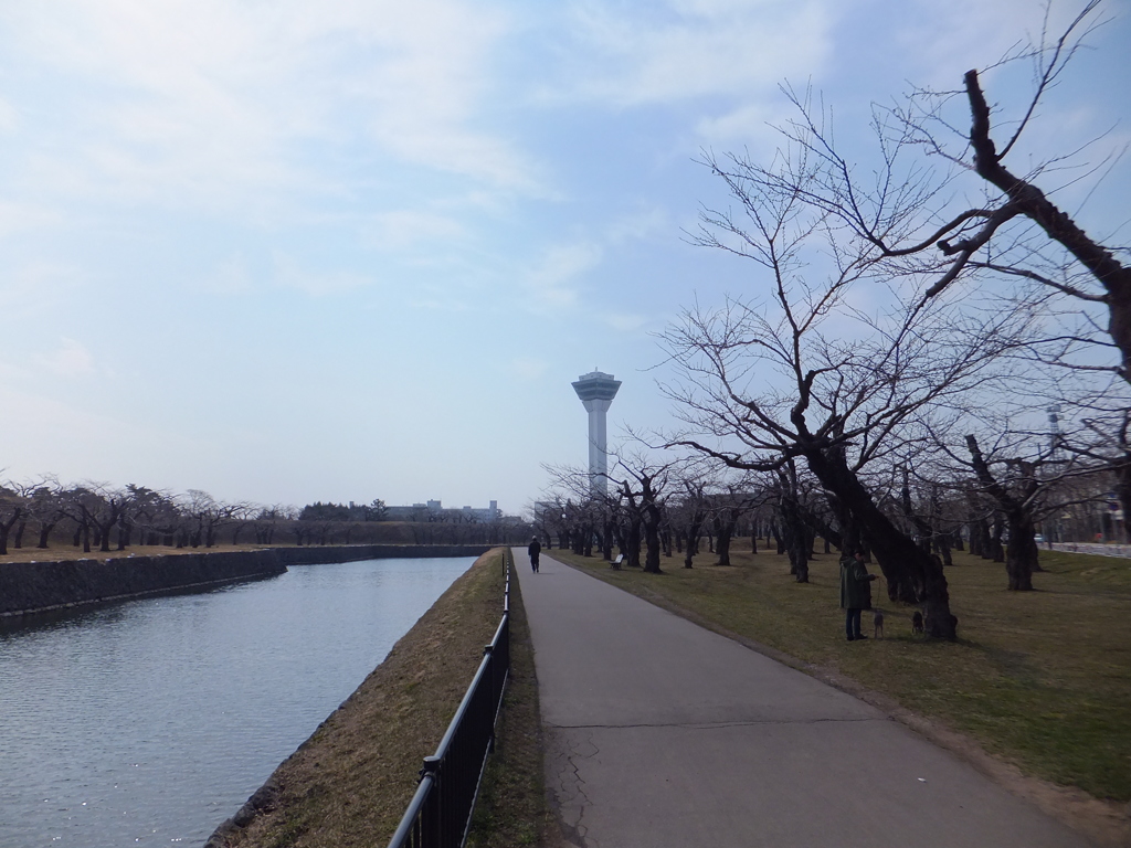 花見は4月下旬頃？「函館・五稜郭公園」