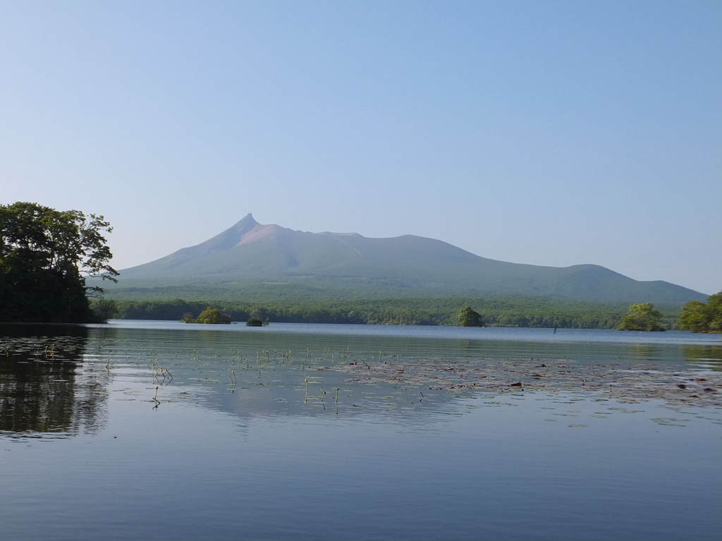 初夏の駒ケ岳