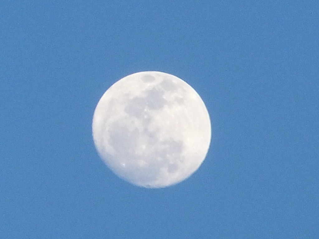 月が綺麗だったので。