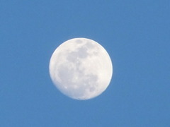 月が綺麗だったので。